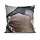 Image Decorative Satin Pillowcases